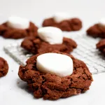 Hot Cocoa Cookies