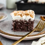 chocolate tres leches cake sliced on a plate with white whipped cream and cinnamon sprinkled on top