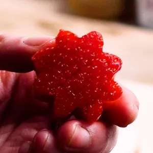 Close up of a strawberry that's been cut out with a flower cookie cutter.